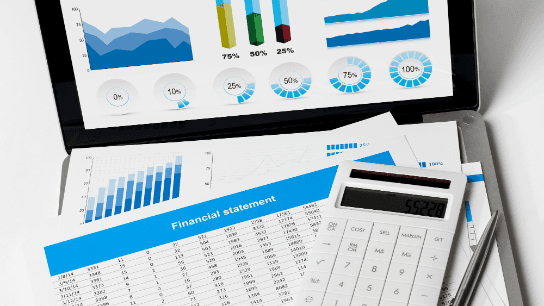 Financial Statement Analysis for CFOs & Controllers